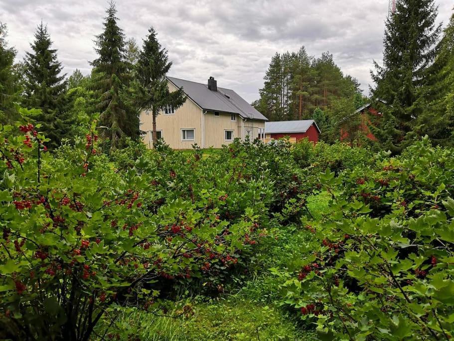 Mukava Mummonmoekki Maaseudun Rauhassa Villa Koivu Eksteriør bilde