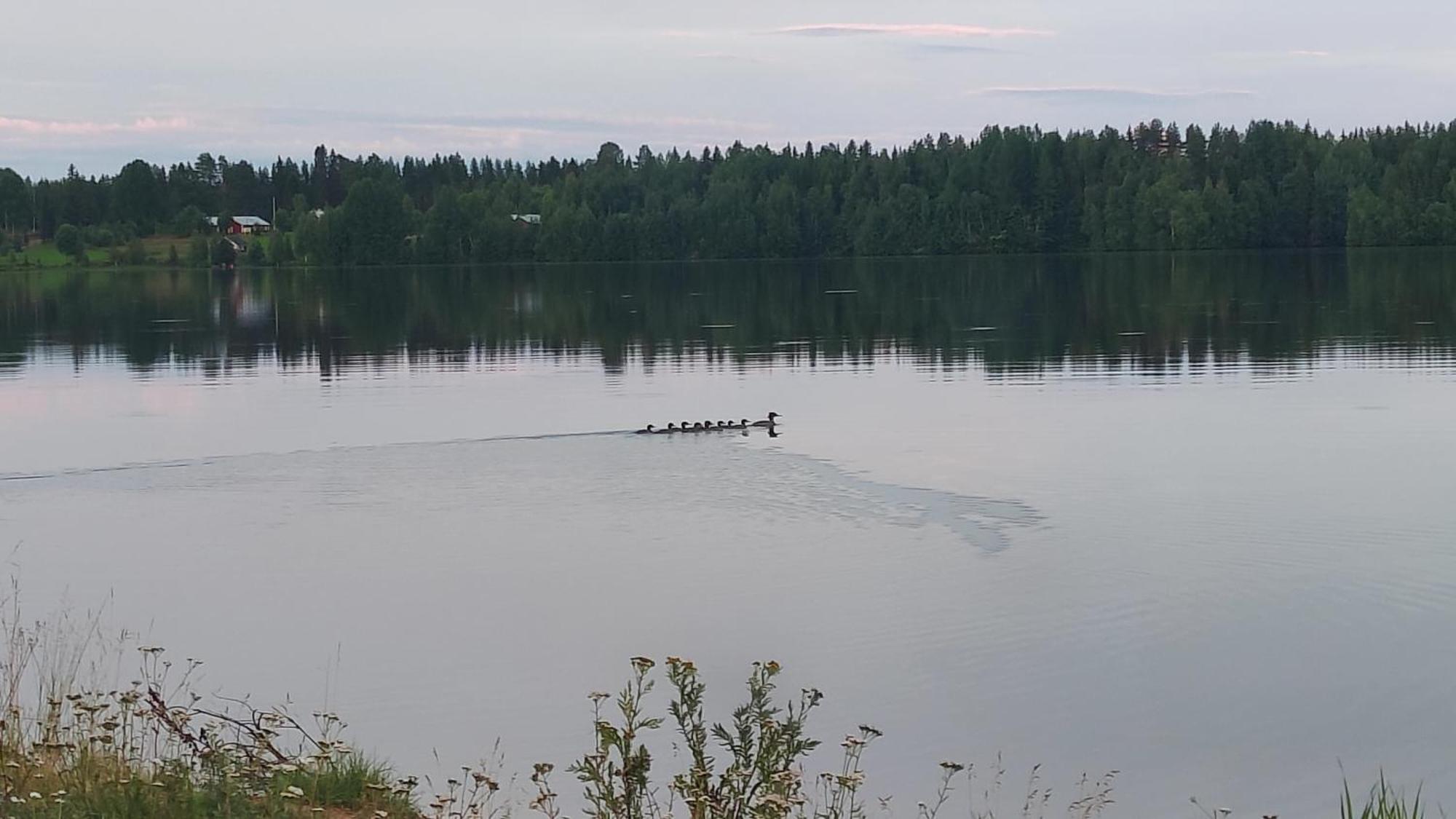Mukava Mummonmoekki Maaseudun Rauhassa Villa Koivu Eksteriør bilde